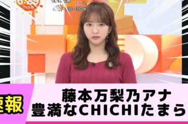 藤本万梨乃アナの豊満なCHICHIがたまらん