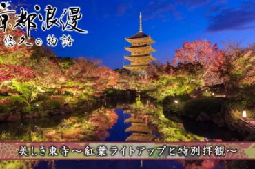 【BS11/KBS京都】「京都浪漫　悠久の物語」第158回「美しき東寺〜紅葉ライトアップと特別拝観〜」（BS11で2024年11月18日放送分）