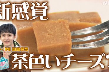 [沼ハマ] 知られざる極上スイーツ！ブラウンチーズ！| NHK