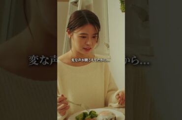 こんな夫、許せる…？#ショートドラマ#ごっこ倶楽部 #シンデレラコンプレックス #デレコン #短編映画 #ショートドラマ #ショートフィルム #ドラマティッカー #bumpドラマ