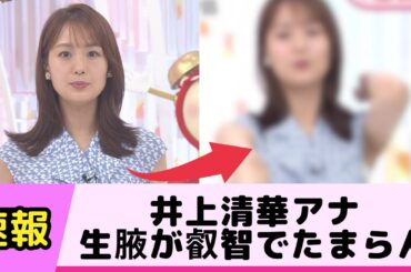 井上清華アナの生腋が叡智でたまらん