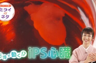 【出演：川田裕美】 『もうすぐ万博！ミライのネタ』 着々と準備が進む大阪・関西万博！▼今回は大阪大学とクオリプス社で研究が進められているiPS心臓を紹介