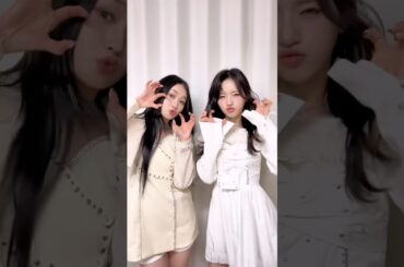 アンタの推しの子になってやる🫵🏻✨ #MOMONA #COCORO #ME_I #ミーアイ #미아이