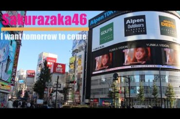 櫻坂46 リアクション 櫻坂46 韓国 사쿠라자카46 인터뷰 i want tomorrow to come 櫻坂46 三期生 そこ曲がったら櫻坂 sakurazaka46 interview