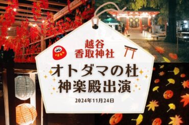 2024年11月24日：神社出演「オトダマの杜」出演映像･*..☽.｡.:*：2024年11月19日＠越谷香取神社