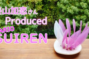 【HARIO】美山加恋さんプロデュースカラーのSUIREN