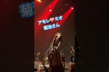 アモレミオ最愛💞 菊池さん•イン•ニューヨーク2024NYC
