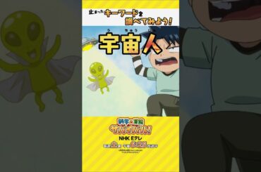 テレビアニメ「科学×冒険サバイバル！」サバイバルスロット