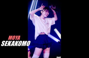 [4K] 세카코모 (모야, セカイのコドモ, SEKAKOMO) - Heart Sunglasses (26Ji no masquerade) @ 240621 프리즘홀 직캠 By SSoLEE