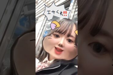 ◆エサくれ！！◆ #ひめちゃんとおうくん #プリンセス姫スイートtv #shorts