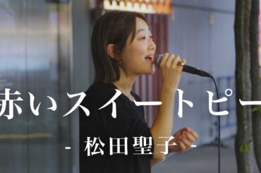 赤いスイートピー - 松田聖子 - Covered By 咲麗