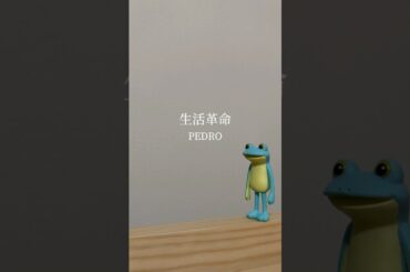 生活革命/PEDRO(cover)#弾き語り #cover #pedro #アユニd