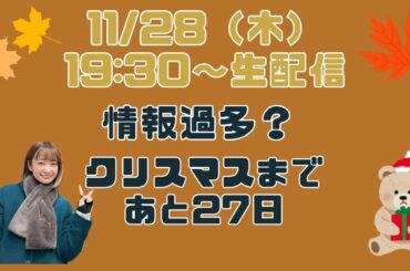 【11月】情報過多？クリスマスまであと27日