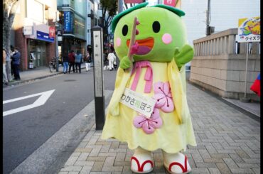 ド～ンと福井in神楽坂 越前・若狭まつり 2024