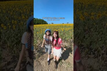 POV:私たちが寄り道をしたら