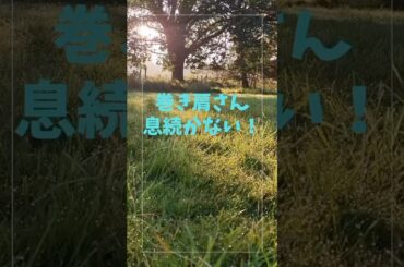 #short巻き肩さん息続かない！