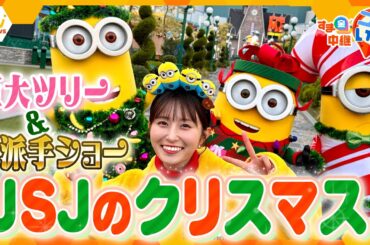今シーズンで見納め！巨大ツリー＆興奮度MAXのド派手ショー「USJのクリスマス」【す・またん！】