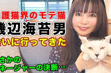 【お願い】皆さんの力を貸してください！