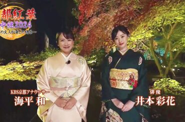 【BS11/KBS京都】京都紅葉生中継2024～今昔の文人が愛した絶景～／出演：海平和、井本彩花、若村亮、佐藤彩加、ななせ（11月27日放送）