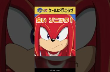 お前に相棒呼ばわりされる覚えはない！│ソニックX エピソード5「激突!!ソニックvsナックルズ」より #sonicx #金丸淳一 #神奈延年