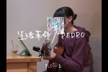 [ 弾き語りカバー ] 生活革命 / PEDRO