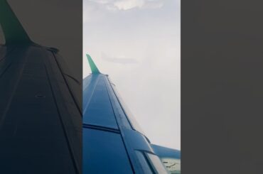 雲に映る機体の影の撮影に#成功 #長野 から#福岡 まで#初体験 #国内線 #飛行機 の#旅 #信州 #松本 #博多 #食べ歩き の動画もup予定#shorts