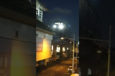 犬🐶             ①ゆいレール三両編成        20241101