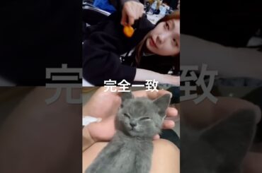 寝ているマユカにチキンナゲットを近づけたら……？？？  #shorts #ショート #niziu #二ジュー #マユカ #mayuka #withu