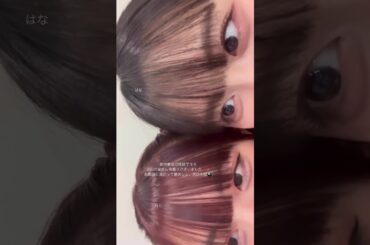 「2024.12.01」伊勢鈴蘭