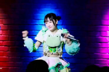 241116 카게레루 츠루 KAGERERU tsuru @HASHTAG LIVE 4K 직캠