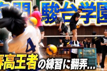 【春高バレー1位】バレー芸人が駿台の練習に参加するもレベルの高すぎてもう無理です