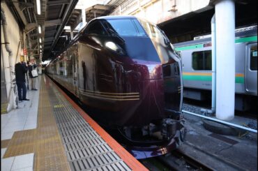 E655系「『和』横川行きで行く 碓氷峠鉄道文化むら日帰り旅」上野駅～横川駅 2024年1月27日