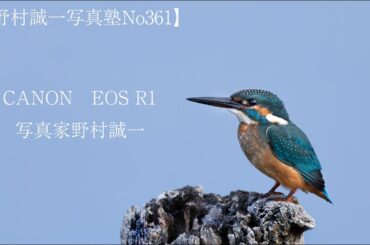 【野村誠一写真塾No361】CANON EOS R1で撮る秒間プラス60コマの世界。野鳥の飛翔には、、