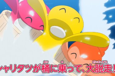 ポケットモンスター「ランドウ、故郷へ帰る」予告
