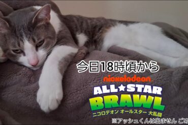 「二コロデオン オールスター大乱闘 アルティメットエディション」をやるかも