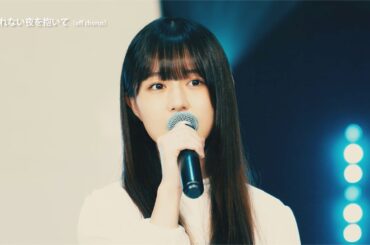 Blu-ray「Film Collection 2019 - 2024 Music & History」 Disc1 - Music Film Digest