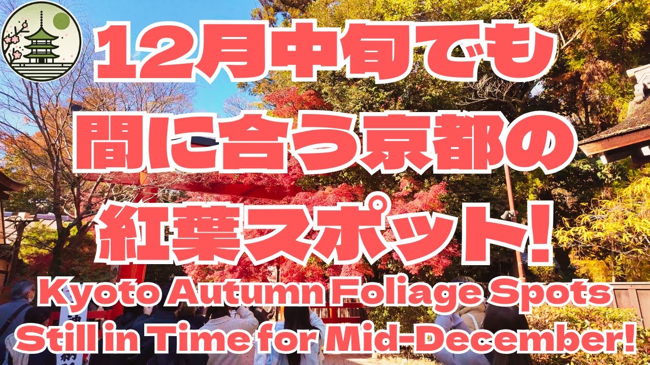 12月中旬でも間に合う京都の紅葉スポット見つけた!12月7日現在でも見頃なのに中旬も多分見頃です! 12月中旬でも間に合う京都の紅葉スポット見つけた!12月7日現在でも見頃なのに中旬も多分見頃です!