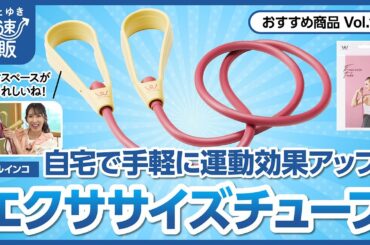 【かぜとゆき通販】かんたん宅トレ エクササイズチューブ アルインコ