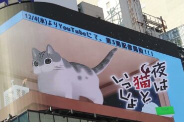 アニメ 夜は猫といっしょ 第3期 異世界 猫ミーム 伊東歌詞太郎 anime reaction 猫動画 yoruneko 猫犬 lazy cat 猫 海外の反応 新宿 japan cat