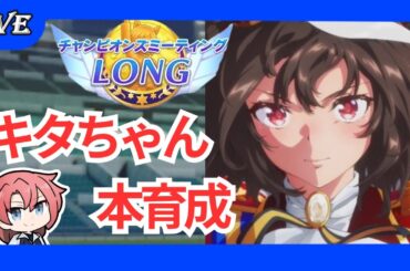 【ウマ娘】　有馬本育成＃ウマ娘プリテイダービー