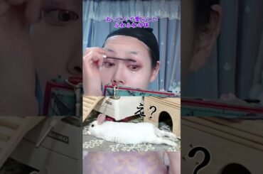 ロリィタ服も作るコスプレイヤーの白うさぎ系メイク🐰#アイドル #cosplayer #コスプレイヤー #ハンドメイド #メイク #ロリィタ
