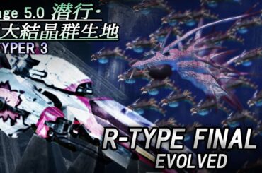R-TYPE FINAL 3 EVOLVED Stage 5.0『潜行・巨大結晶群生地』