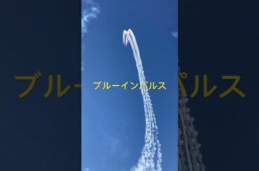 ブルーインパルス✨【長野MM】