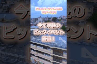 【金沢クリスマスマーケット2024 12/7〜12/8】#金沢市 #クリスマスマーケット #金沢イベント　#金沢旅行 #金沢デート　#平井理央