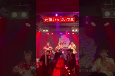 元気いっぱいのファンww #ライブ #アイドル #ポジティブモンスター #押忍フェス #ポジモン #ハム太郎かな #回り出すファン #元気 #元気が出る動画