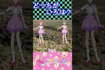 【わんだふるぷりきゅあ】どっちがいろはかな？４【わんぷり・プリキュア・precure・güzel Kür・光之美少女・프리큐어・بريكور】#shorts