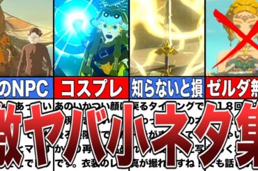 【ティアキン】知れば知るほど面白い小ネタ集【ゼルダの伝説ティアーズオブザキングダム/ティアキン】【ゆっくり解説】【総集編】【作業用】