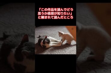 『麒麟』川島の夫婦喧嘩した時の仲直りのアプローチが流石すぎて胸キュンだった。 #川島明 #川島海荷 #感動