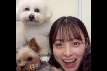 ３匹入った🐶💝 #橋本環奈 @浜辺美波  #hashimotokanna  #kannahashimoto