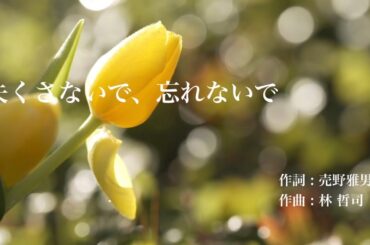 失くさないで、忘れないで　作詞：売野雅勇／作曲：林 哲司